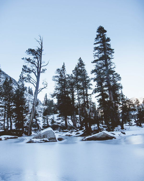camera strap, camera wrist strap, places to visit during the winter, winter blog, travel blog