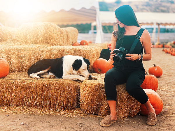 camera strap, best pumpkin patches, holiday, camera, dogs