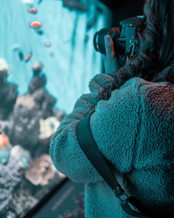 camera strap, camera wrist strap, sunglass straps, best aquariums to visit, travel blog, monterey bay aquarium, dubai aquarium, underwater zoo, lisbon oceanarium 