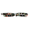 Hilo Dog Collar