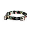 Hilo Dog Collar